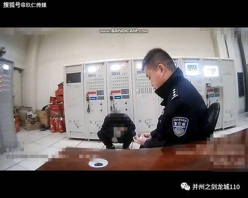 国产厕所手机视频播放,揭秘现代生活便利新体验