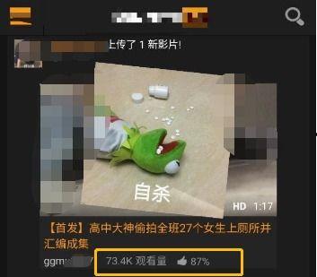 国产在线黄色视频,暗流涌动的网络迷雾