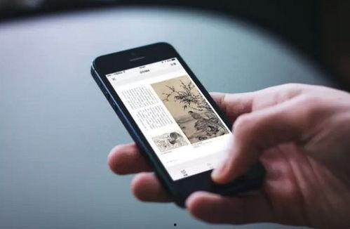 国产福利视频HD,高清盛宴，尽享视听盛宴