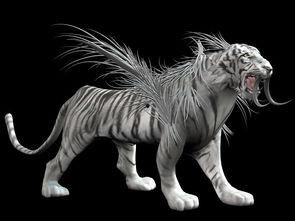 国产网红白虎视频,国产网红的崛起与影响力