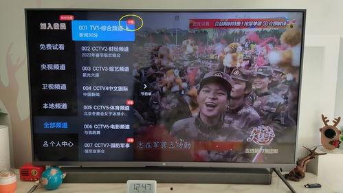 国产爱视频费试看,免费试看，畅享视听盛宴