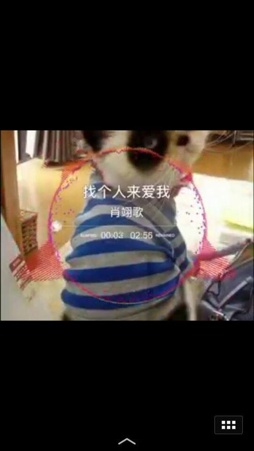 求各种国产小视频种子,一网打尽热门影视资源