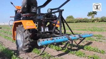 国产麦子收割视频在线播放,科技助力农业现代化