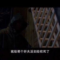 恶搞国产三大烂片视频大全,带你领略国产电影的无厘头魅力  第2张