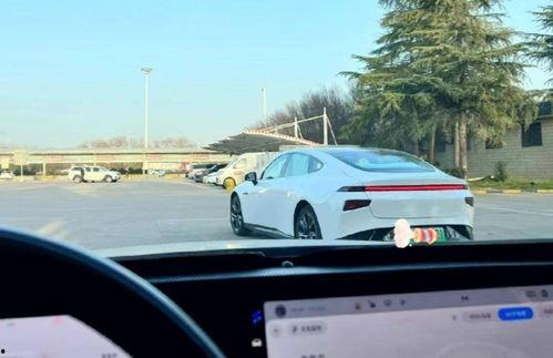 国产车主跑高速视频大全  第3张