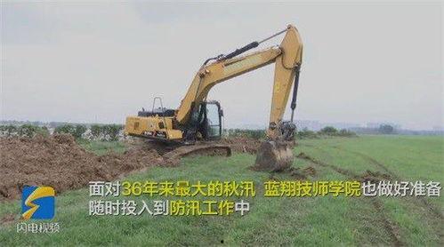 国产挖机伐树技术视频,高效环保的林业作业新篇章 第3张 国产挖机伐树技术视频,高效环保的林业作业新篇章 第3张